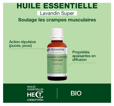 Pranarôm Huile Essentielle Lavandin Super (Lavandula x intermedia clone super) Bio 30 ml