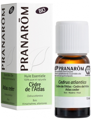 Pranarôm Bio Ätherisches Öl Atlaszeder (Cedrus atlantica) 10 ml