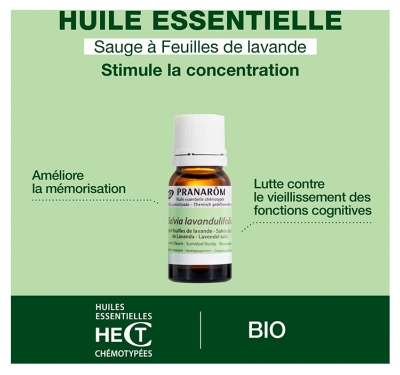 Pranarôm Huile Essentielle Sauge à Feuilles de Lavande (Salvia lavandulifolia) Bio 10 ml