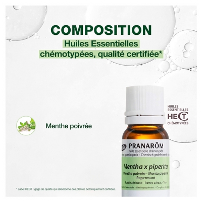 Pranarôm Huile Essentielle Menthe Poivrée (Mentha x piperita) Bio 5 ml