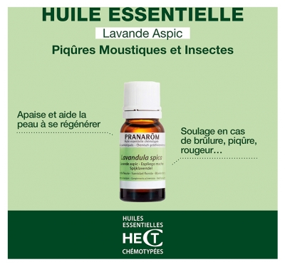 Pranarôm Huile Essentielle Lavande Aspic (Lavandula latifolia) 10 ml