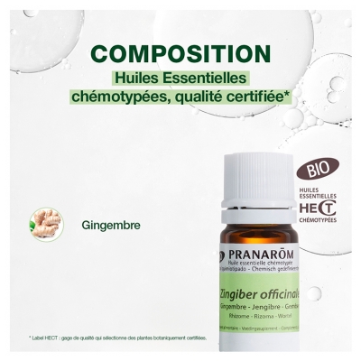 Pranarôm Huile Essentielle Gingembre (Zingiber officinale) Bio 5 ml
