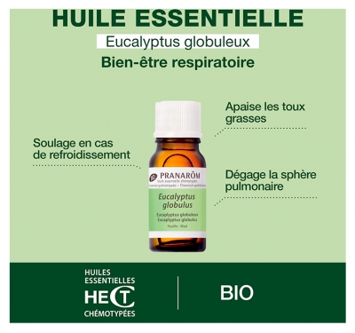 Pranarôm Huile Essentielle Eucalyptus Globuleux (Eucalyptus globulus) Bio 10 ml