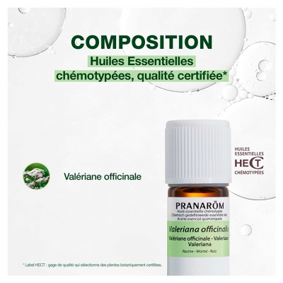 Pranarôm Huile Essentielle Valériane Officinale (Valeriana officinalis) 5 ml