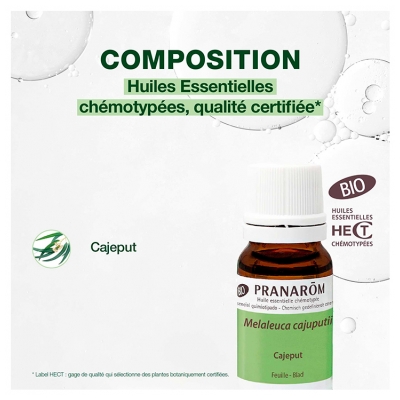 Pranarôm Huile Essentielle Cajeput Bio 10 ml
