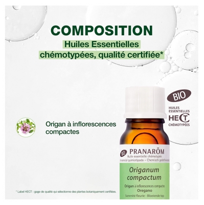 Pranarôm Huile Essentielle Origan à Inflorescences Compactes (Origanum compactum) Bio 10 ml
