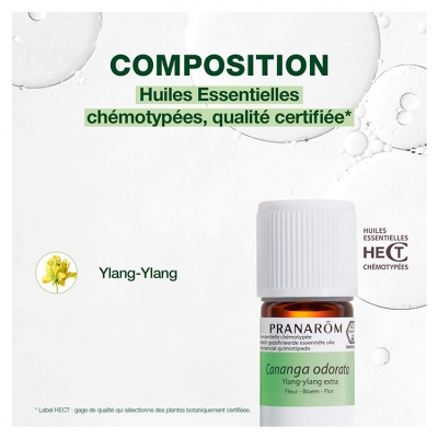 Pranarôm Huile Essentielle Ylang-Ylang Extra (Cananga odorata) 5 ml