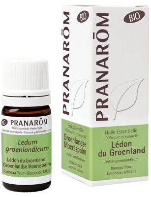 Pranarôm Essential Oil Greenland Ledon (Ledum Groenlandicum) Bio 5 ml