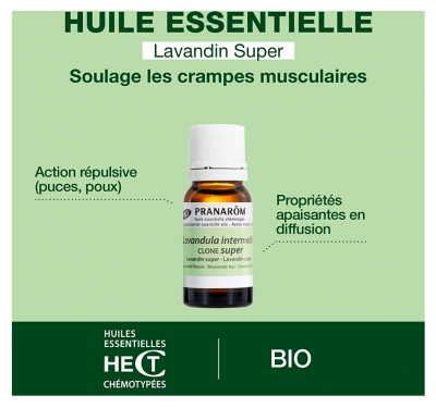 Pranarôm Huile Essentielle Lavandin Super (Lavandula x burnatii clone super) Bio 10 ml