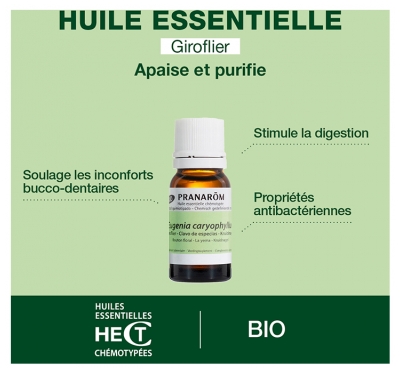 Pranarôm Huile Essentielle Giroflier (Eugenia caryophyllus) Bio 10 ml
