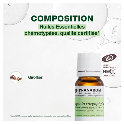 Pranarôm Huile Essentielle Giroflier (Eugenia caryophyllus) Bio 10 ml