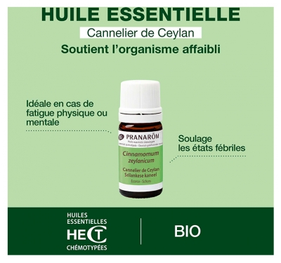 Pranarôm Huile Essentielle Cannelier de Ceylan (Cinnamomum zeylanicum/verum) Bio 5 ml