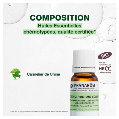 Pranarôm Huile Essentielle Cannelier de Chine (Cinnamomum cassia) Bio 10 ml