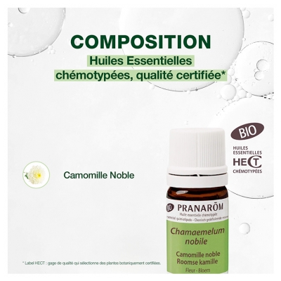 Pranarôm Huile Essentielle Camomille Noble (Chamaemelum nobile) Bio 5 ml