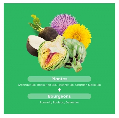 Santarome Bio Bien-Être du Foie Bio 30 Gélules