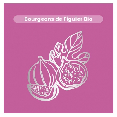 Santarome Organic Fig Tree 30ml