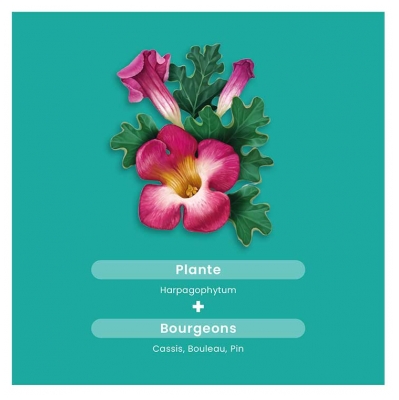 Santarome Harpagophytum Bio 2000 20 Ampoules