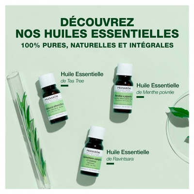 Pranarôm Huile Essentielle Pin Sylvestre (Pinus sylvestris) Bio 10 ml