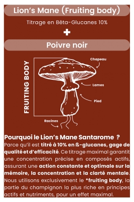 Santarome Lion's Mane 400 mg 60 Gélules