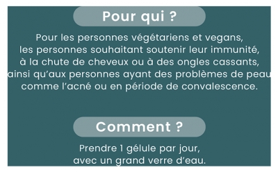 Santarome Zinc Bisglycinate+ 15 mg 60 Gélules