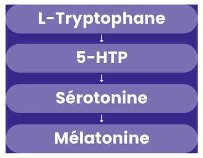 Santarome L-Tryptophane+ 500 mg 60 Gélules