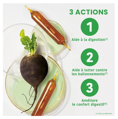 Santarome Bio Radis Noir Bio 20 Ampoules