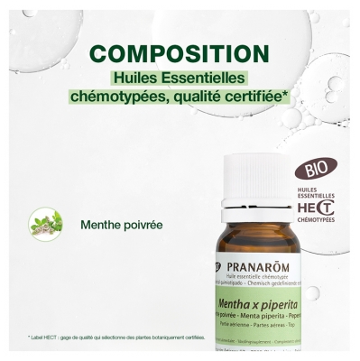 Pranarôm Huile Essentielle Menthe Poivrée (Mentha x piperita) Bio 10 ml