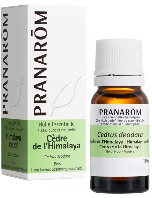 Pranarôm Ätherisches Öl Himalaya-Zeder (Cedrus deodara) 10 ml