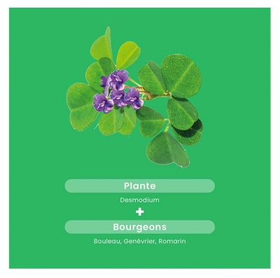 Santarome Phyto Desmodium 2500 20 Ampoules