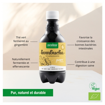 Purasana Kombucha Saveur Gingembre Bio 330 ml
