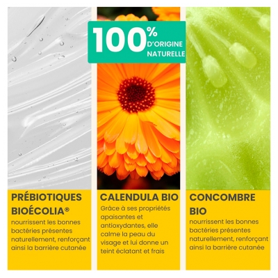 Pulpe de Vie Fluide Hydratant Apaisant Visage Calm-Me Bio 40 ml