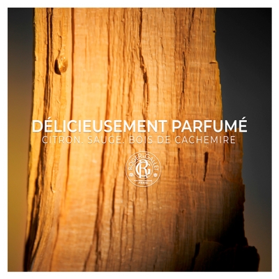 Roger & Gallet Cologne Twist Pain Nettoyant Corps Visage et Cheveux 100 g