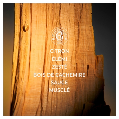 Roger & Gallet Cologne Twist Eau de Cologne 100 ml