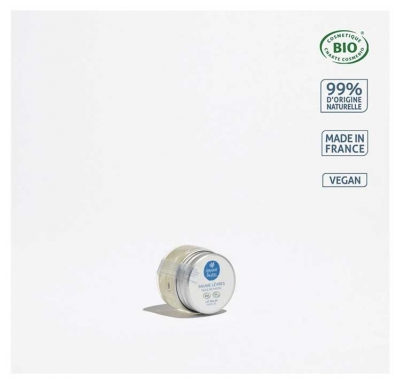 Graine de pastel Baume Lèvres Bio 7 ml