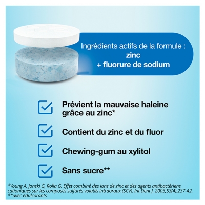 CB12 Boost Strong Mint 10 Gommes à Mâcher