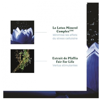 René Furterer Triphasic Reactional Traitement 2en1 Antichute & Pousse 12 Ampoules