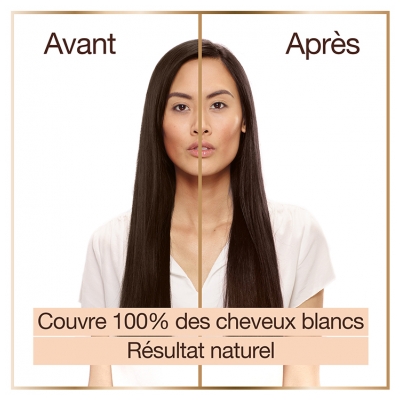 Garnier Good Coloration Permanente Sans Ammoniaque 160 ml - Coloration : 3.12 Châtain Foncé Myrtille