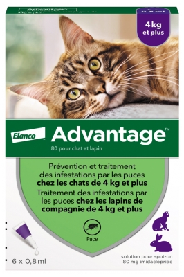 Advantage 80 Šķīdums pret blusām kaķiem un trušiem no 4kg un vairāk 6 Pipetes