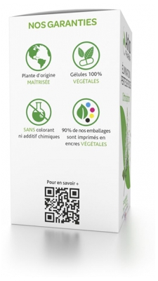 Arkopharma Arkogélules Orthosiphon 45 Gélules