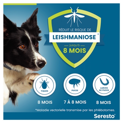 Seresto Collier Antiparasitaire Grands Chiens plus de 8 kg