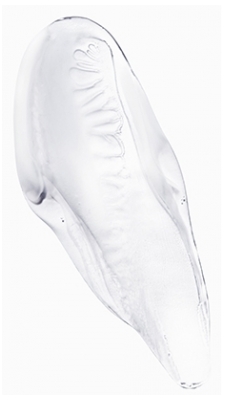 Kérastase Soin Acide Chroma Gloss Chroma Absolu