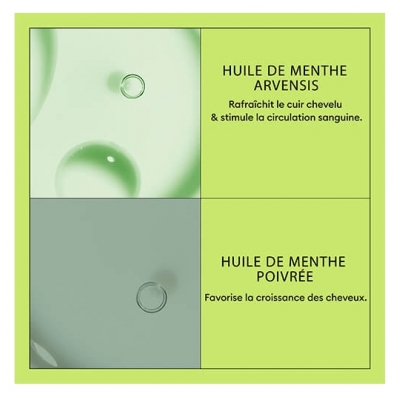 Nioxin Après-shampoing System 2 Chute Avancée Cheveux Naturels Nioxin 300ml