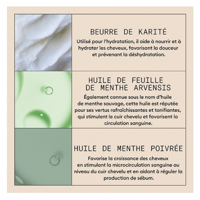 Nioxin Exfoliant Purifiant Antipelliculaire