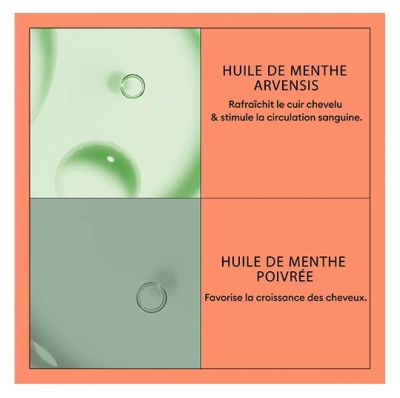 Nioxin Après-shampoing System 4 Chute Avancée Cheveux Abîmés/Colorés Nioxin 300ml