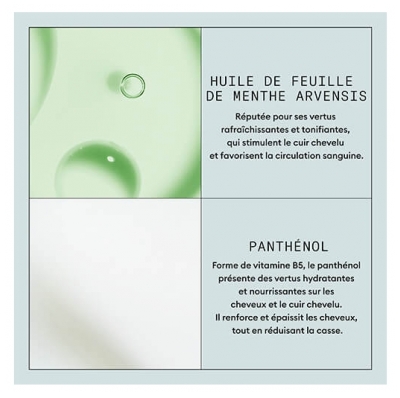 Nioxin Spray Fixation Forte