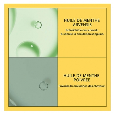 Nioxin Après-shampoing System 1 Chute Modérée Cheveux Naturels Nioxin 300ml