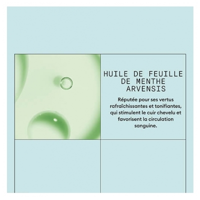 Nioxin Lotion Purifiante Antipelliculaire