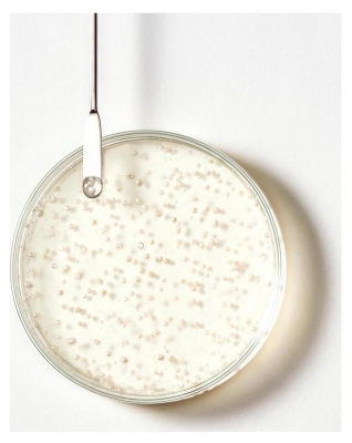 René Furterer Triphasic Shampoing Antichute Longévité 50 ml