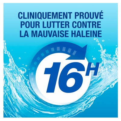 CB12 White 12 Heures Bain de Bouche Lot de 2 x 250 ml