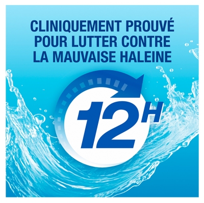 CB12 Spray Buccal Sans Alcool Menthe 15 ml